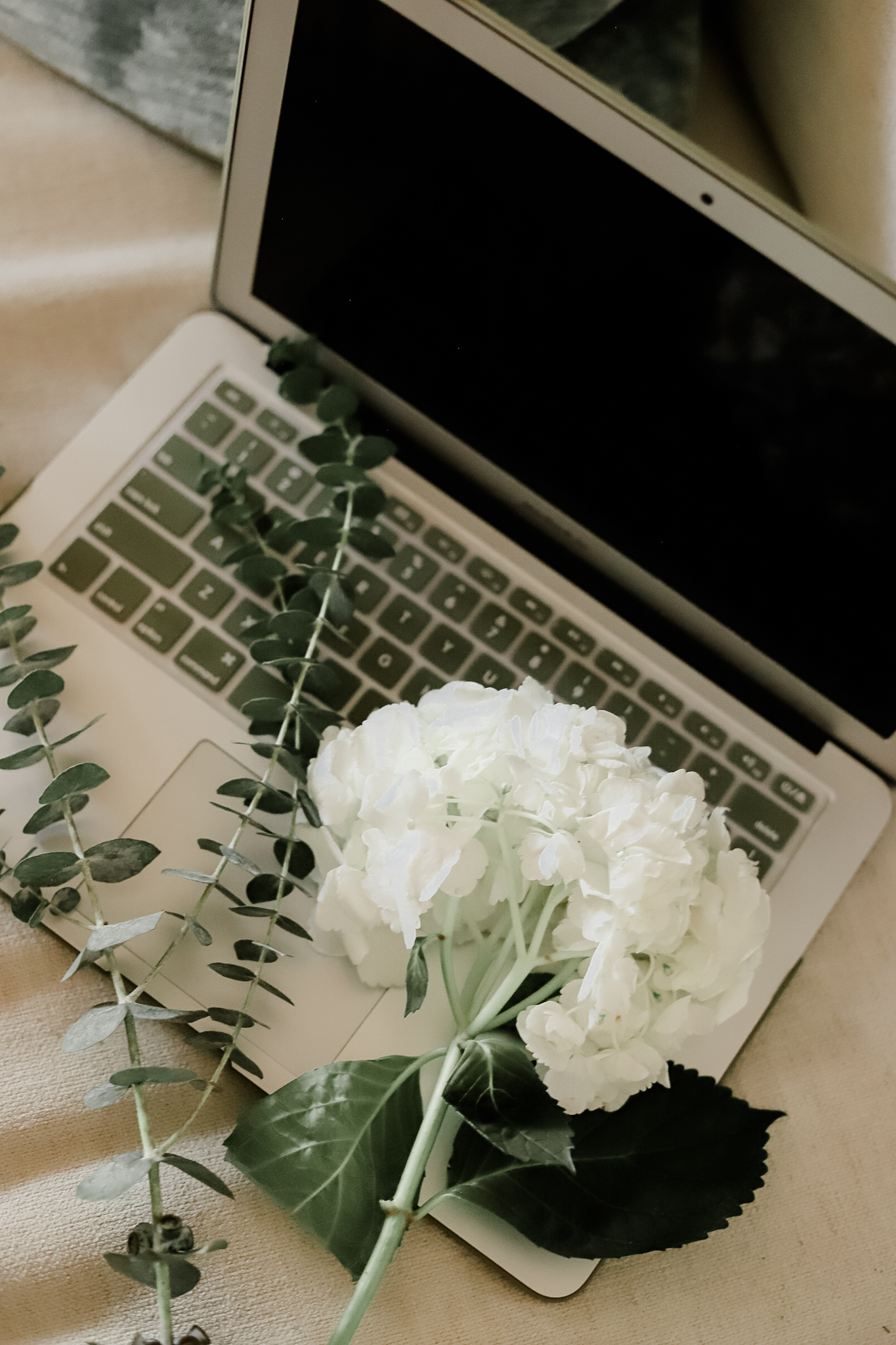computer with white flower laying on it